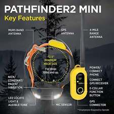 Dogtra pathfinder2 mini d'occasion  Expédié en Belgium
