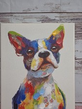 French bulldog colorful for sale  Baldwin