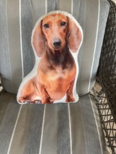 Dachshund weiner dog for sale  Manhattan