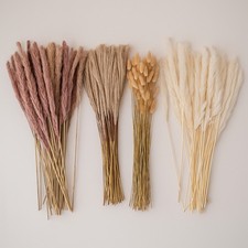 Pampasgras sets gebraucht kaufen Pampasgras sets gebraucht kaufen  Lehrberg