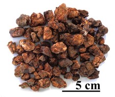 pallasite for sale  Colorado Springs
