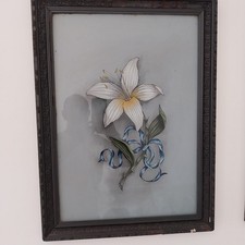Coppia quadri floreali usato  Marcianise