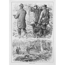 Pheasant shooting antique for sale  GLASGOW