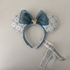 2022 disney parks for sale  Ridge