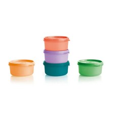 Conjunto de tigela Tupperware lanche tampa de vedação 6 oz novo comprar usado  Enviando para Brazil
