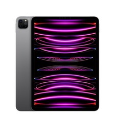 Apple iPad Pro 4ª Geração 128GB, Celular, 11" Cinza Espacial comprar usado  Enviando para Brazil