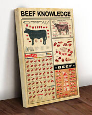 Beef knowledge cow for sale  Chicago