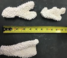 Vintage natural white for sale  Ormond Beach