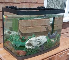 Bow front fish for sale  WOLVERHAMPTON