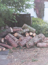 Stammholz nadelholz brennholz gebraucht kaufen  Schönau