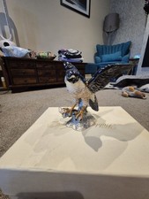 Jewled peregrine falcon for sale  REDHILL