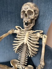 Halloween skeleton poseable for sale  Floyd