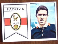 Figurina calciatori panini usato  Peveragno