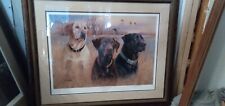 labrador prints for sale labrador prints for sale Prineville