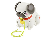 Fisher price walk for sale  USA