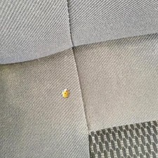 Siege droit citroen d'occasion Siege droit citroen d'occasion  Saint-Étienne-du-Rouvray