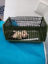 Trixie transportbox kleine gebraucht kaufen  Bochum