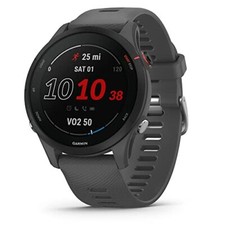 Smartwatch Garmin Forerunner 255, GPS Running, Advanced Insights, cinza ardósia comprar usado  Enviando para Brazil