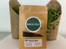 Broccoli microgreen seeds for sale  YATELEY