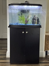 Gallon fish tank for sale  Hollywood