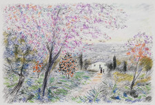 Michele cascella primavera usato  Palagiano