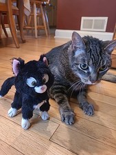 Mittens plush cat for sale  East Brunswick
