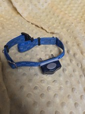 Invisible fence dog for sale  Tampa