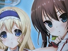 Doujinshi infinite stratos for sale  Newport Beach