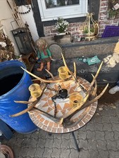 Rehgeweih lampe hirschhorn gebraucht kaufen Rehgeweih lampe hirschhorn gebraucht kaufen  Northeim