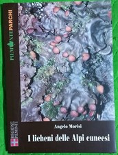 Licheni delle alpi usato  Ledro