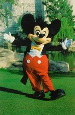 Mickey mouse full for sale  Lakeside