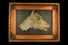 Rare ancien vestige d'occasion  Dettwiller