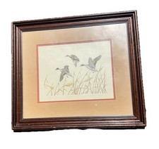 Pintail ducks dave for sale  Stevensville
