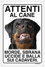 Rottweiler attenti cane usato  Vertemate con Minoprio
