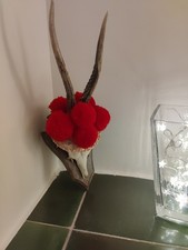 hirschgeweih deko gebraucht kaufen hirschgeweih deko gebraucht kaufen  Gundelfingen