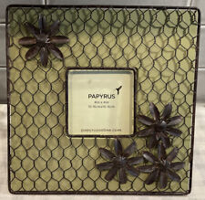 Papyrus photo picture for sale  Lombard