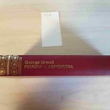 Fiorira aspidistra george usato  Italia