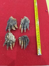 Bsk16 set common for sale  Hill City