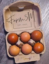 Marans hatching eggs for sale  Spencer