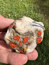 Large natural rare for sale  Louisville