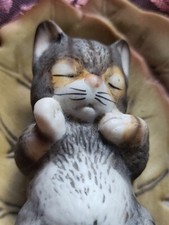 Adorable vintage kitten for sale  CHORLEY