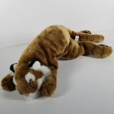 International bengal tiger for sale  Katy