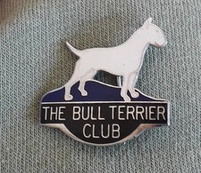 Bull terrier club for sale  LONDON