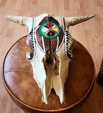 Cow steer skull for sale  Basehor