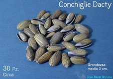 Conchiglie tropicali mod. usato  Nola
