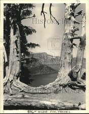 1972 press photo for sale  Memphis