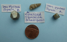 Tiny geological specimens for sale  CARLISLE