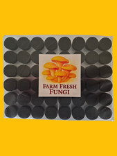 Self healing injection for sale  DARLINGTON