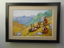 deer stalking for sale deer stalking for sale YORK