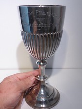 Solid silver goblet for sale  REDRUTH